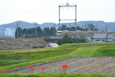 117系