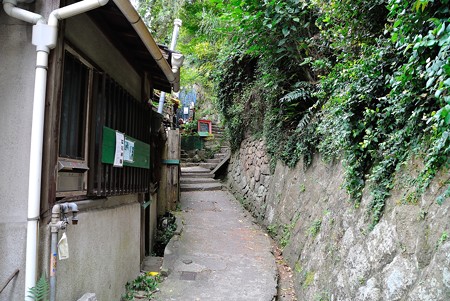 猫の細道
