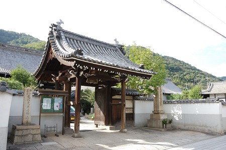 妙蓮寺