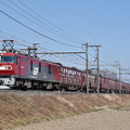 Photos: 貨物列車6096レ (EH500-51)