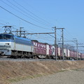 貨物列車3064レ (EF66101)