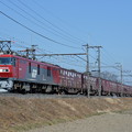 Photos: 貨物列車6096レ (EH500-51)