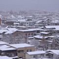 Photos: 北側の雪景色03