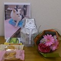 Photos: 集会所にて