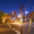 Photos: 夜の公園_01