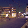 Photos: 夜の公園へ_02