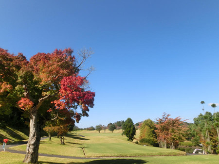 20141018_105000