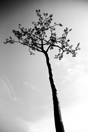 Blog_20140915_011