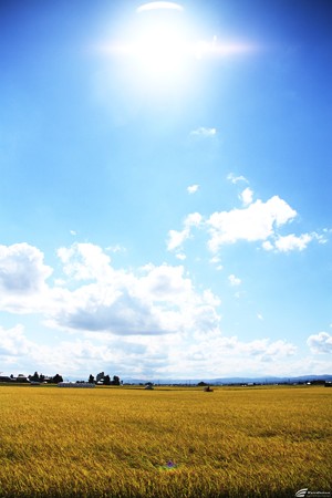 Blog_20140921_001