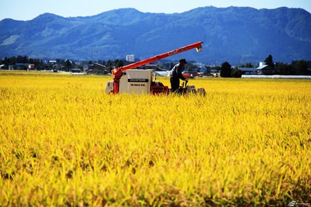 Blog_20140921_003
