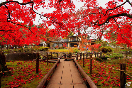 Blog_20151113_14
