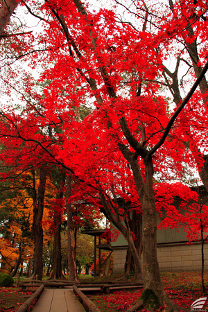 Blog_20151113_11