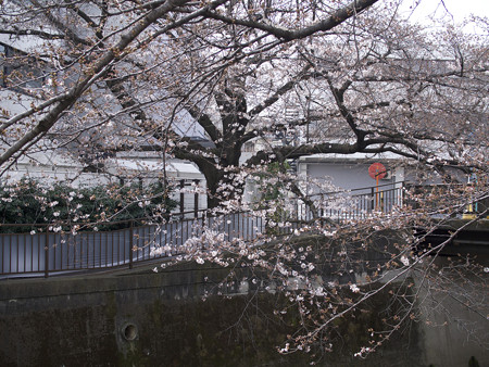 東宝撮影所3