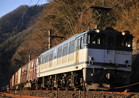 ＥＦ６４ ７７