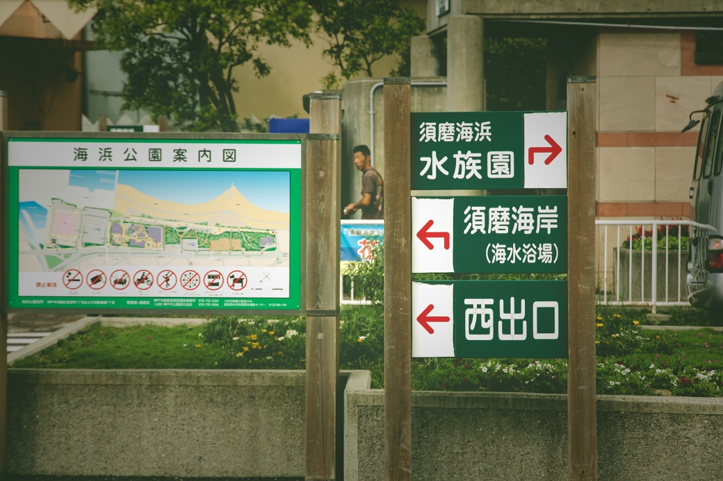 写真: IMG_6105