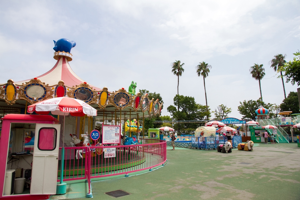 写真: IMG_6446