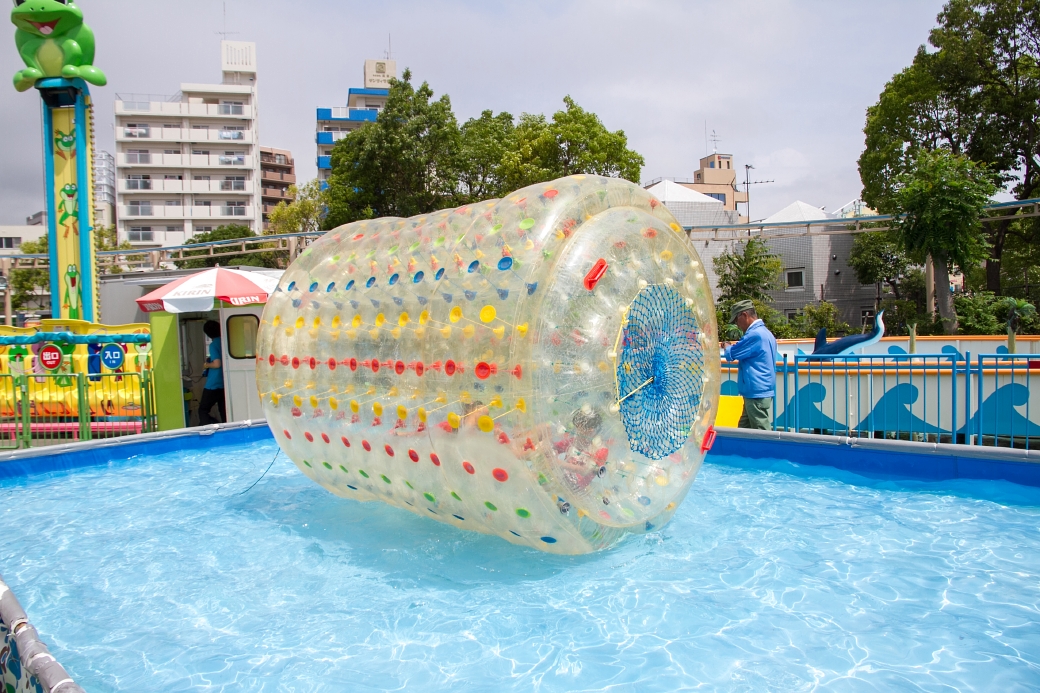 写真: IMG_6449