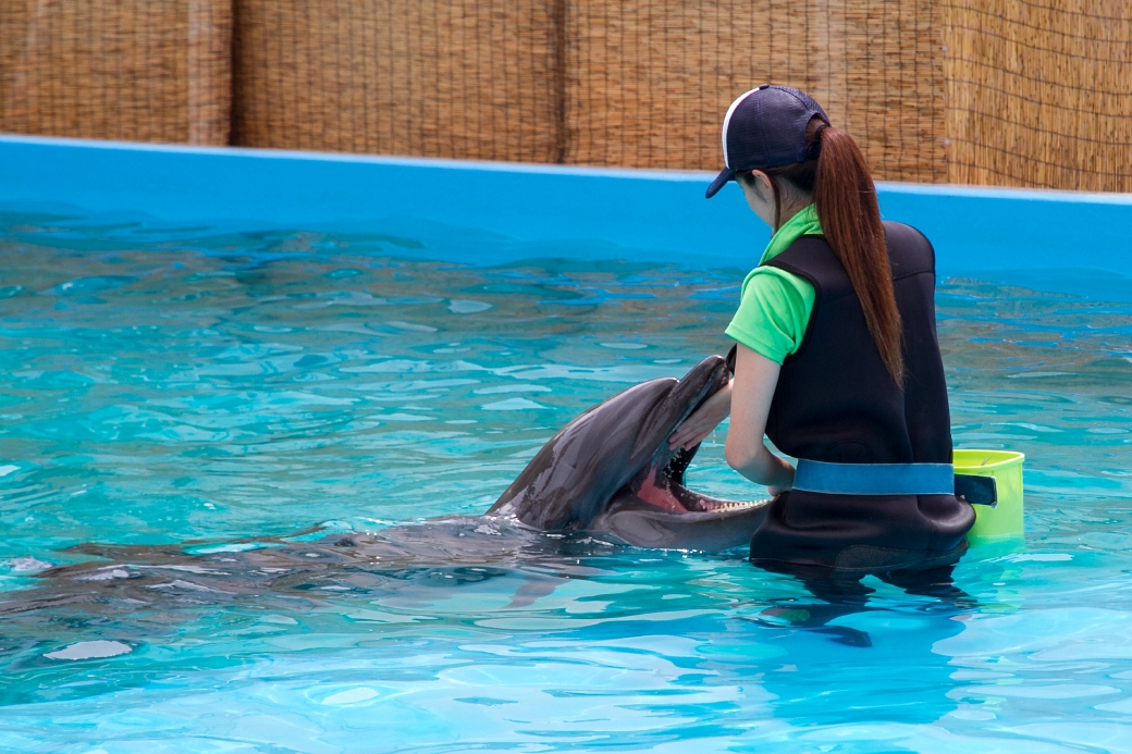 写真: IMG_6473