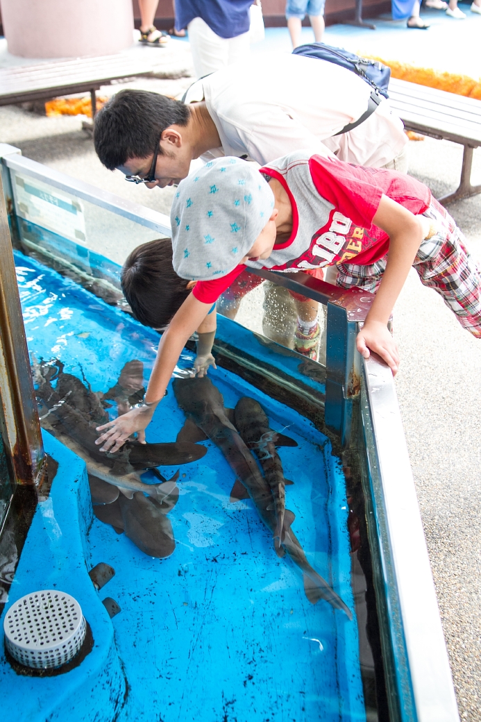 写真: IMG_6524
