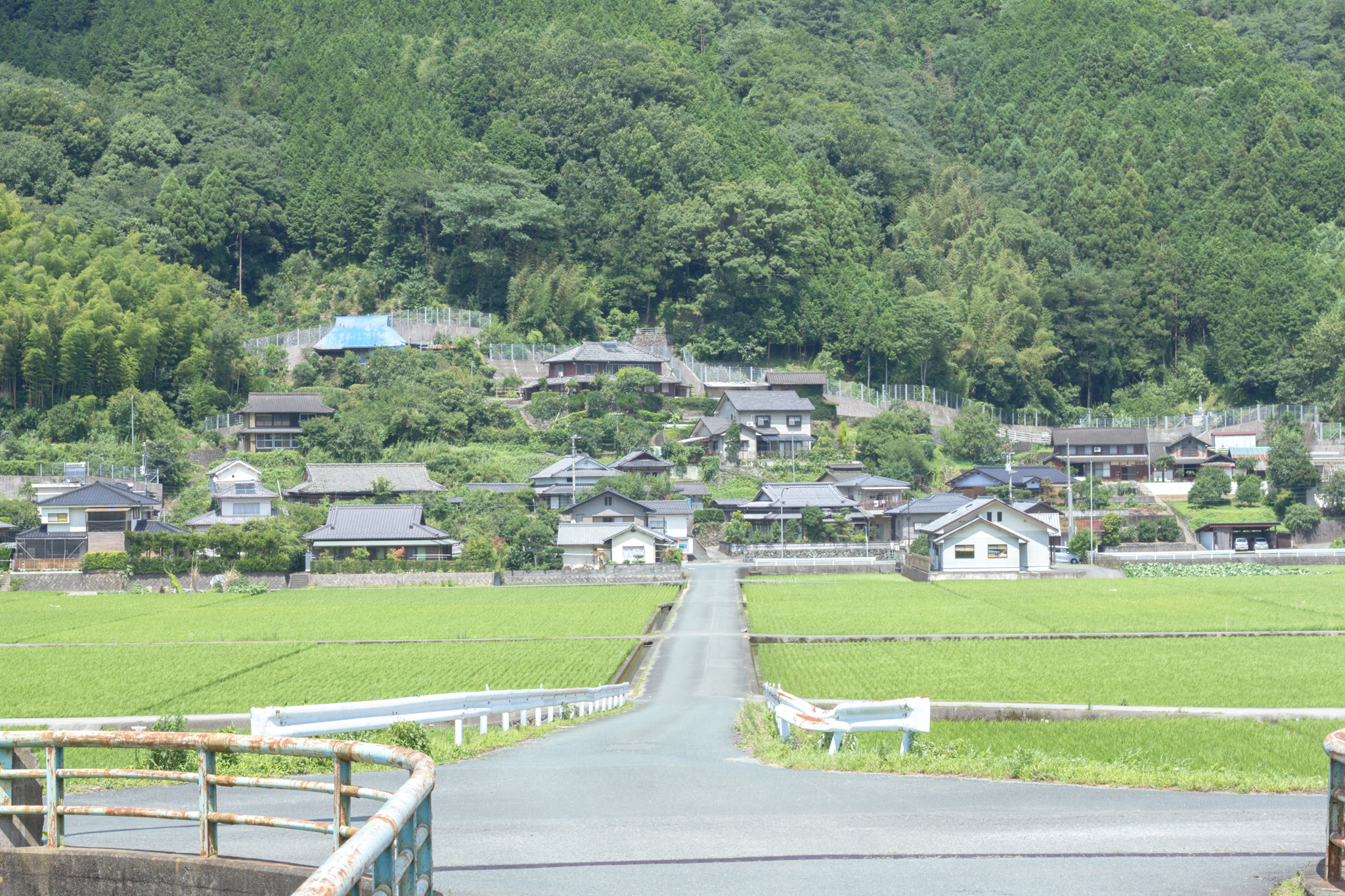 写真: IMG_8559