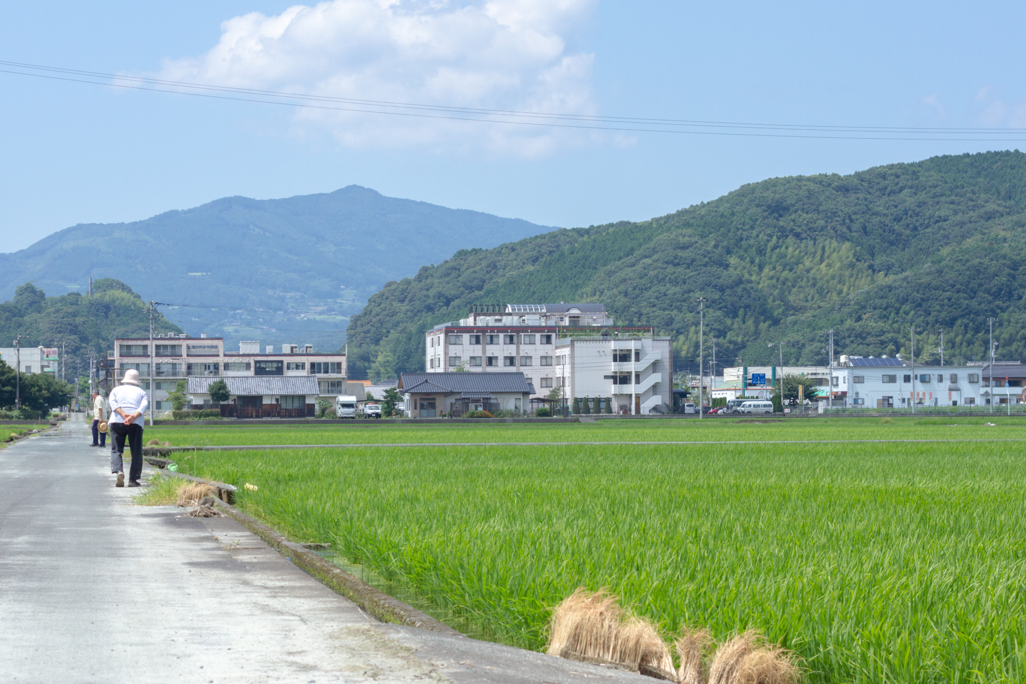 写真: IMG_8610