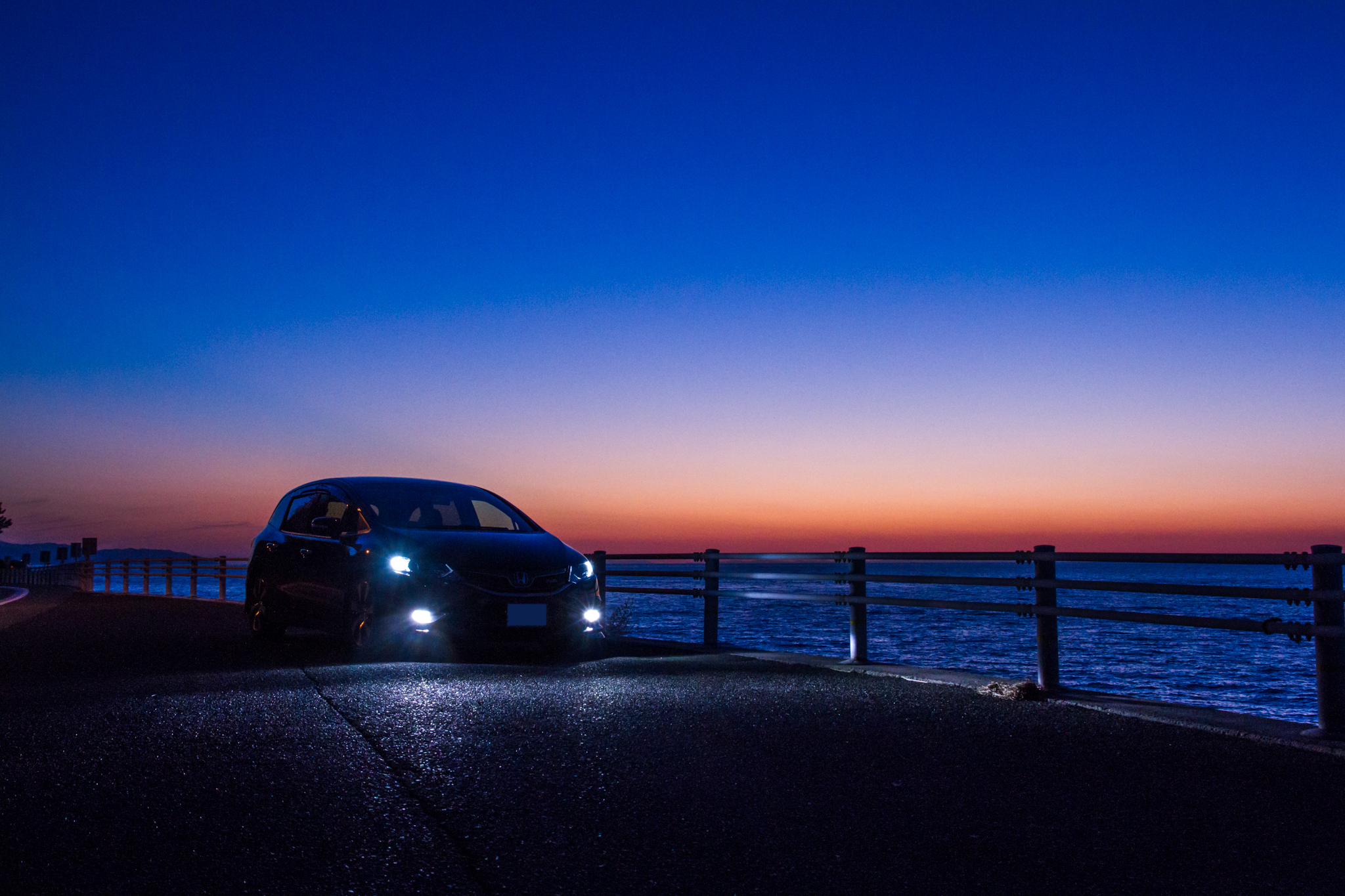 写真: IMG_6853