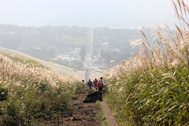 箱根仙石原の秋