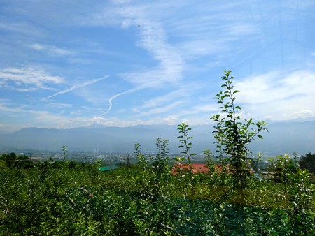 DSC00346