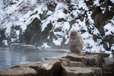 入らないのか?