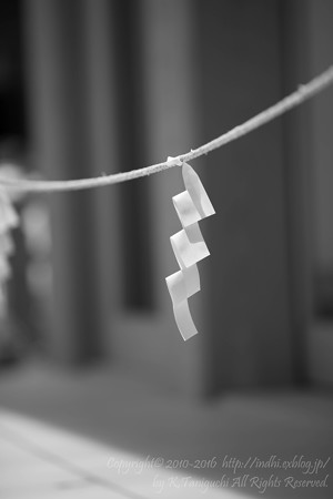 _37A0110