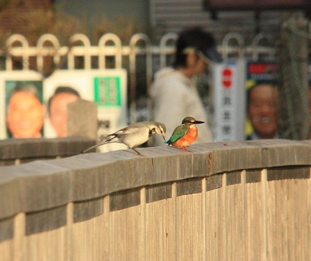旨いもの在る？