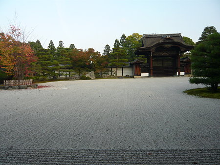 (2)(1)d 295