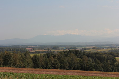 DPP_0083