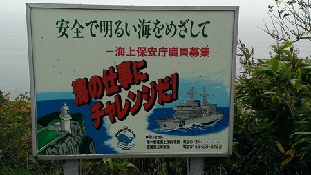 IMAG0607