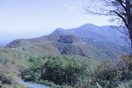 DPP_0036