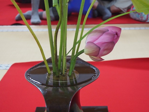 慈照寺書院で