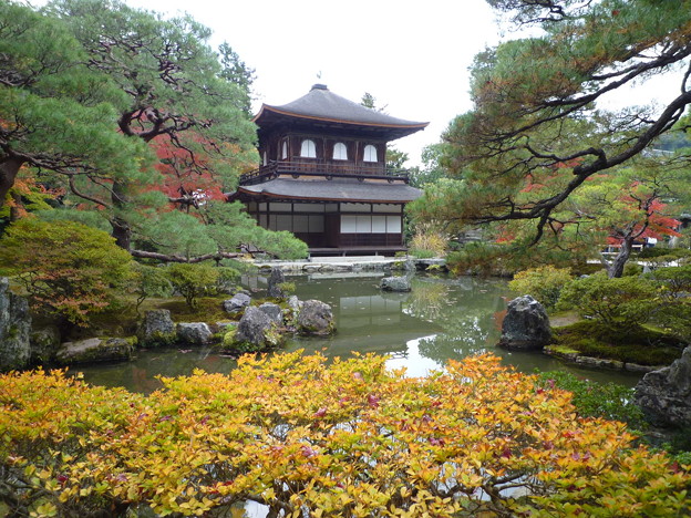 紅葉ずる銀閣寺  Kannon-hall and Pond