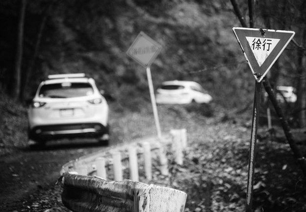 写真: DSC02321