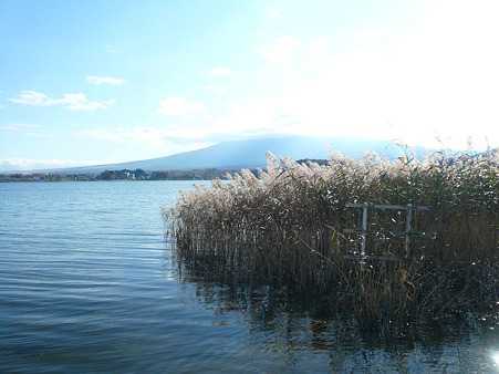111122_06_kwg-k_walk1