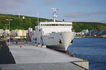 IMGP1728