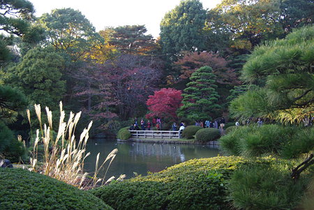 IMGP0929