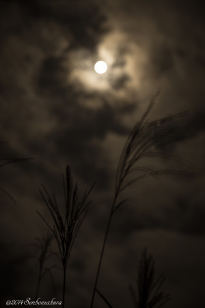 610_2150-2