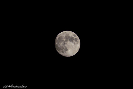 20141007-610_5381