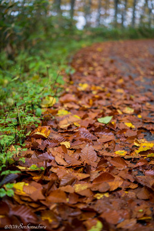 20141007-610_5318