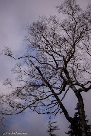 20141007-610_5337