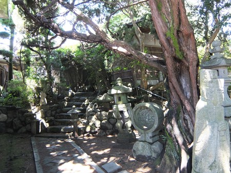 多賀神社04
