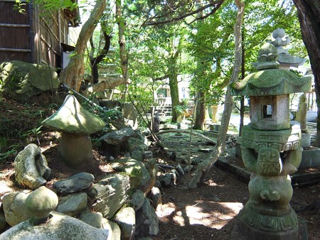多賀神社07