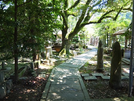 多賀神社09