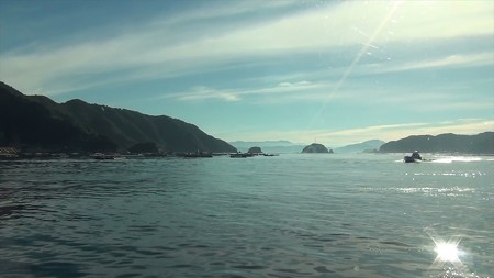 宇和海島巡り11