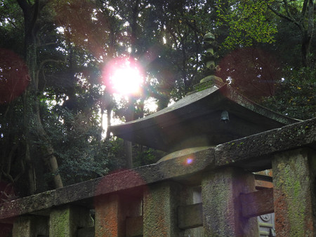 久能山東照宮71